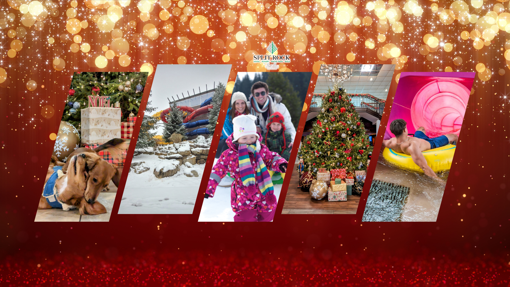 Banner showcasing year-round fun at Split Rock Resort, featuring activities like skiing, waterpark fun, hiking, and more in the beautiful Pocono Mountains